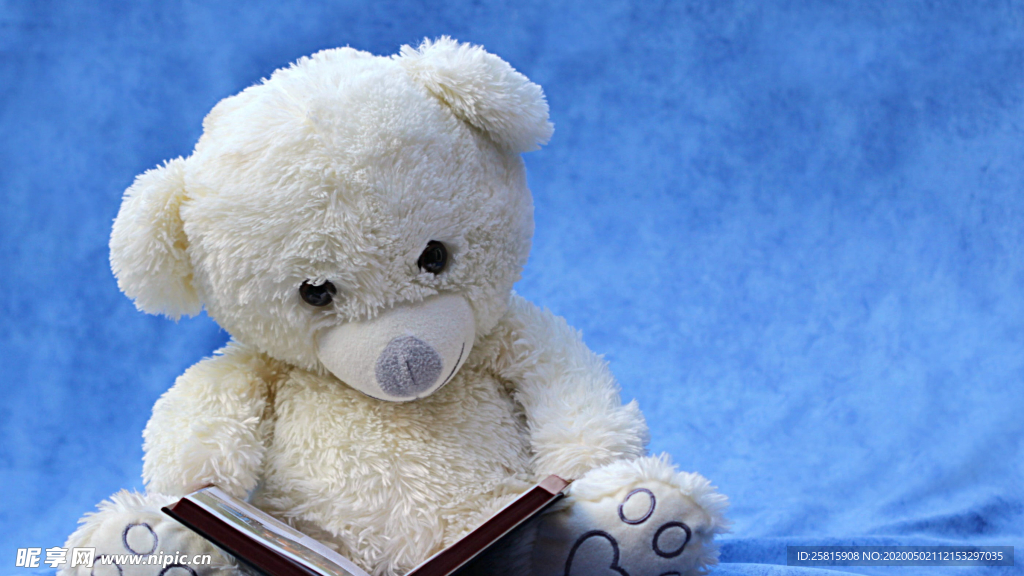 玩具小熊毛绒玩具图片