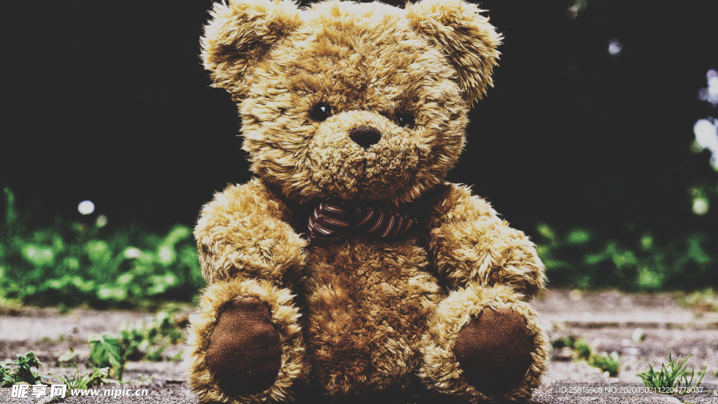 玩具小熊毛绒玩具图片