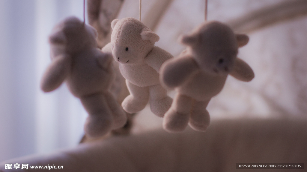 玩具小熊毛绒玩具图片