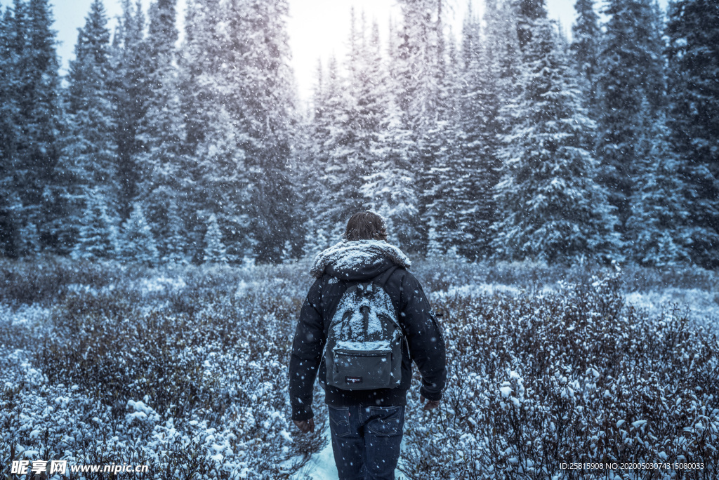 青年背影轮廓图片