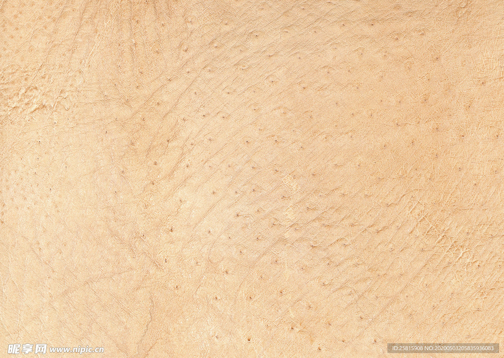 皮革纹理素材图片