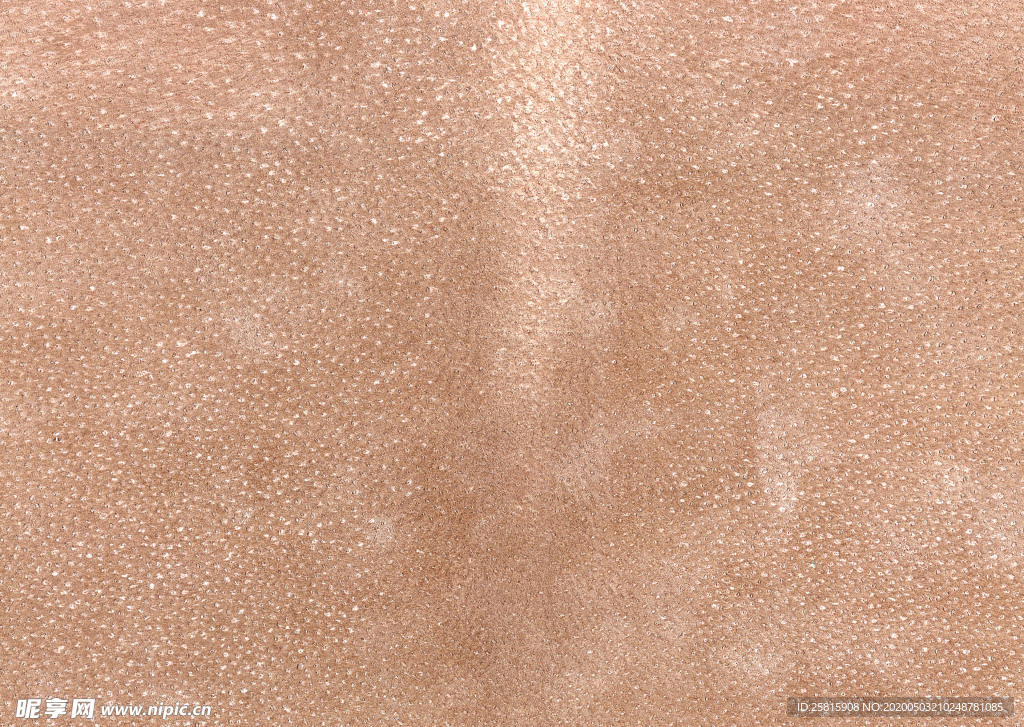 皮革纹理素材图片