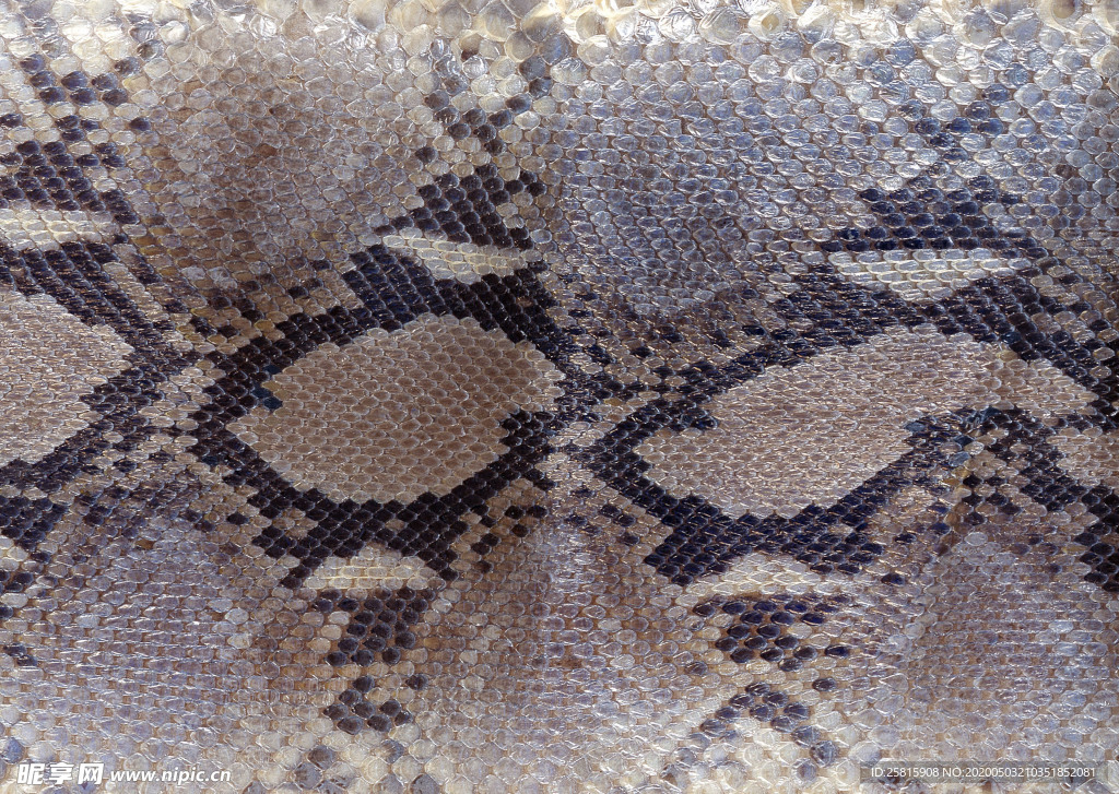 皮革纹理素材图片