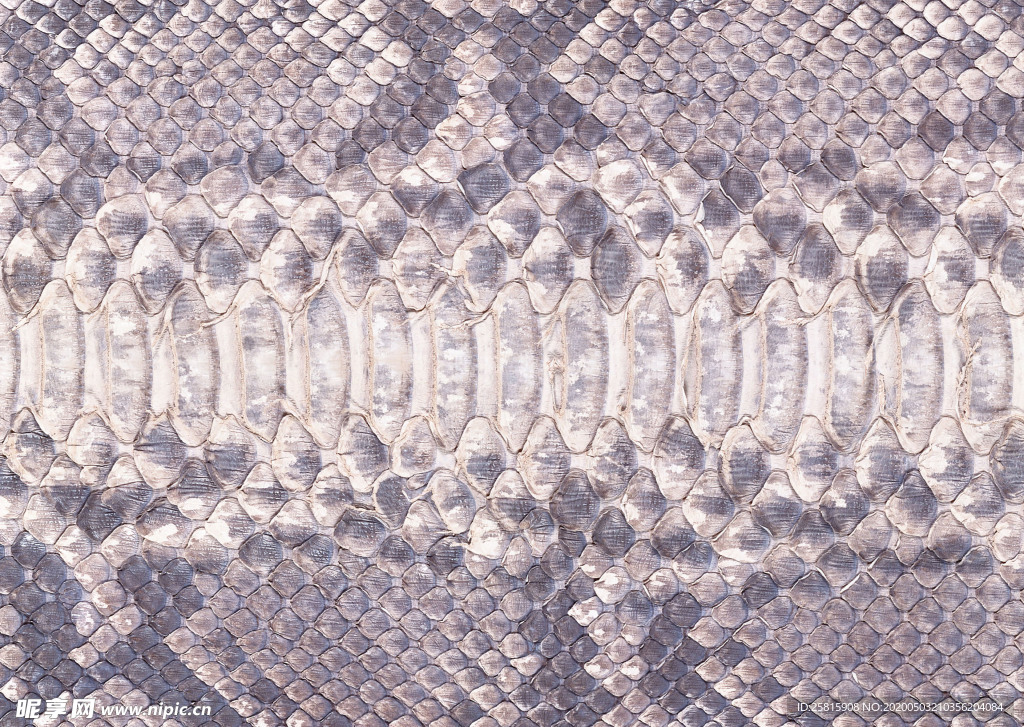 皮革纹理素材图片