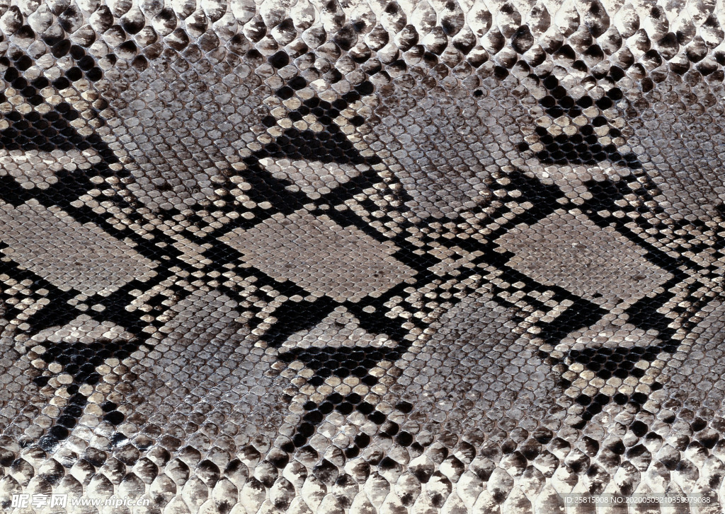 皮革纹理素材图片