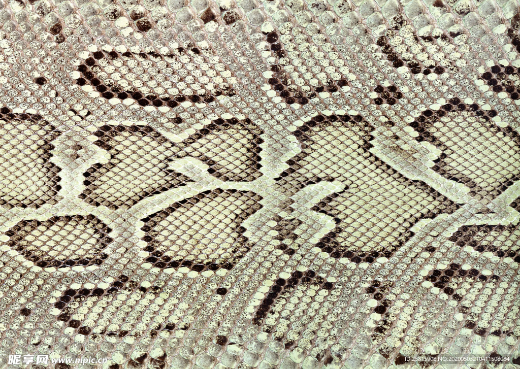 皮革纹理素材图片