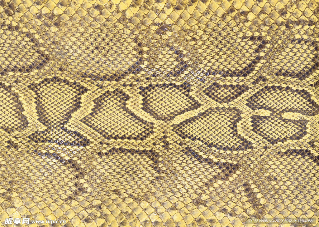 皮革纹理素材图片