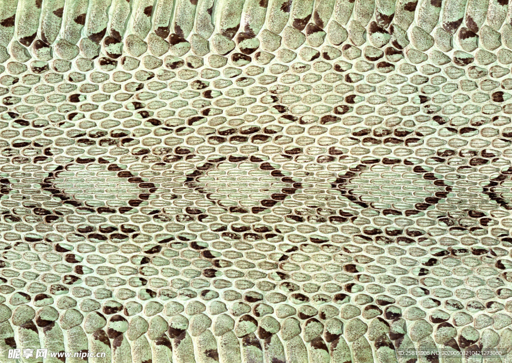 皮革纹理素材图片