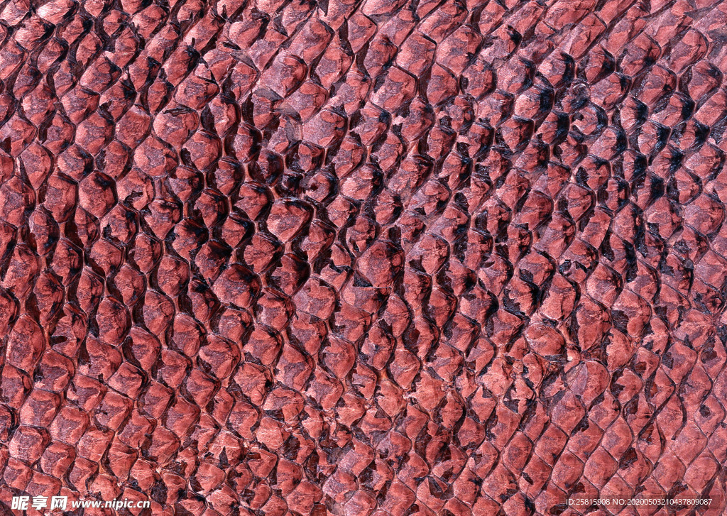 皮革纹理素材图片