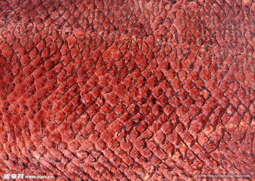 皮革纹理素材图片