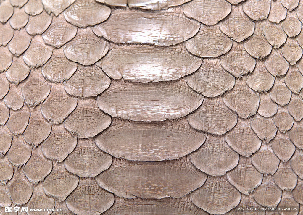 皮革纹理素材图片