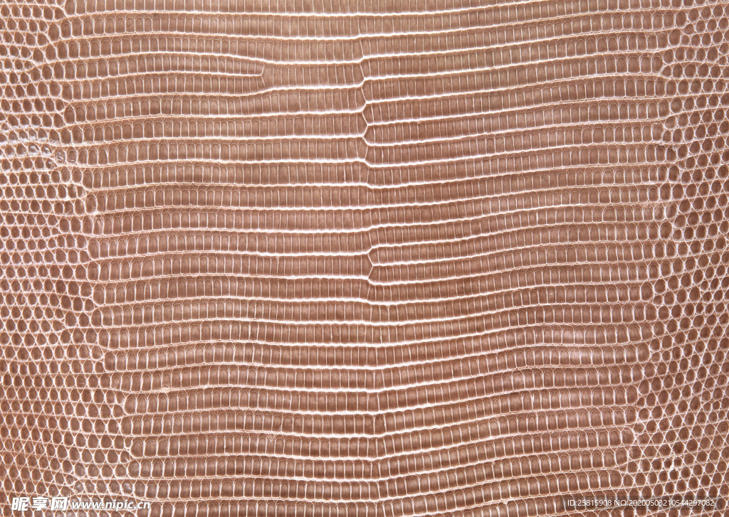 皮革纹理素材图片