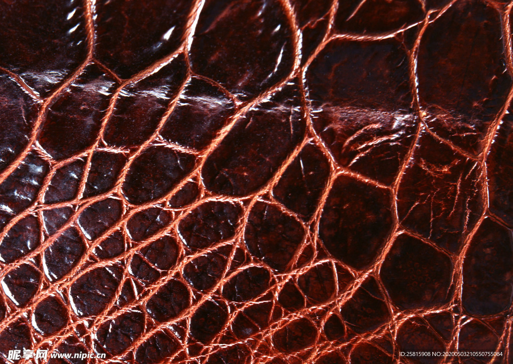 皮革纹理素材图片