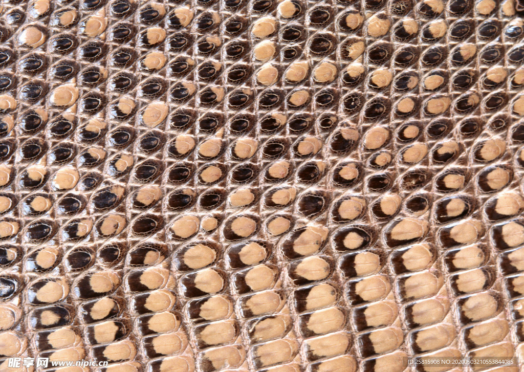 皮革纹理素材图片