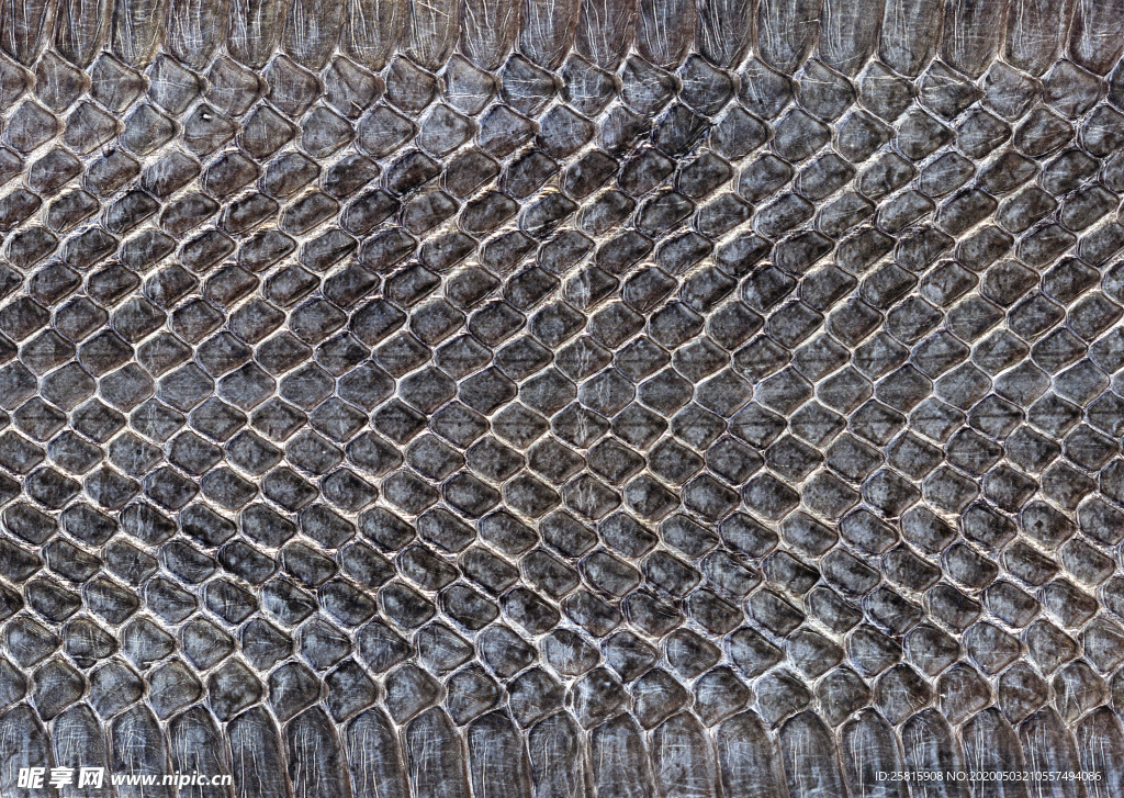 皮革纹理素材图片