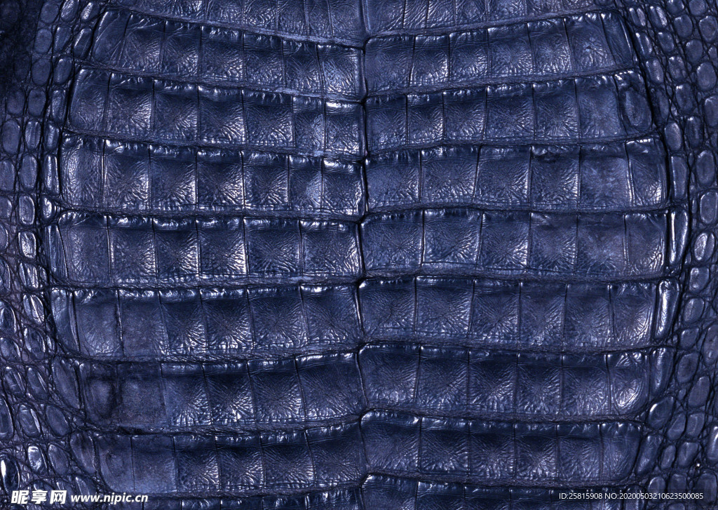 皮革纹理素材图片