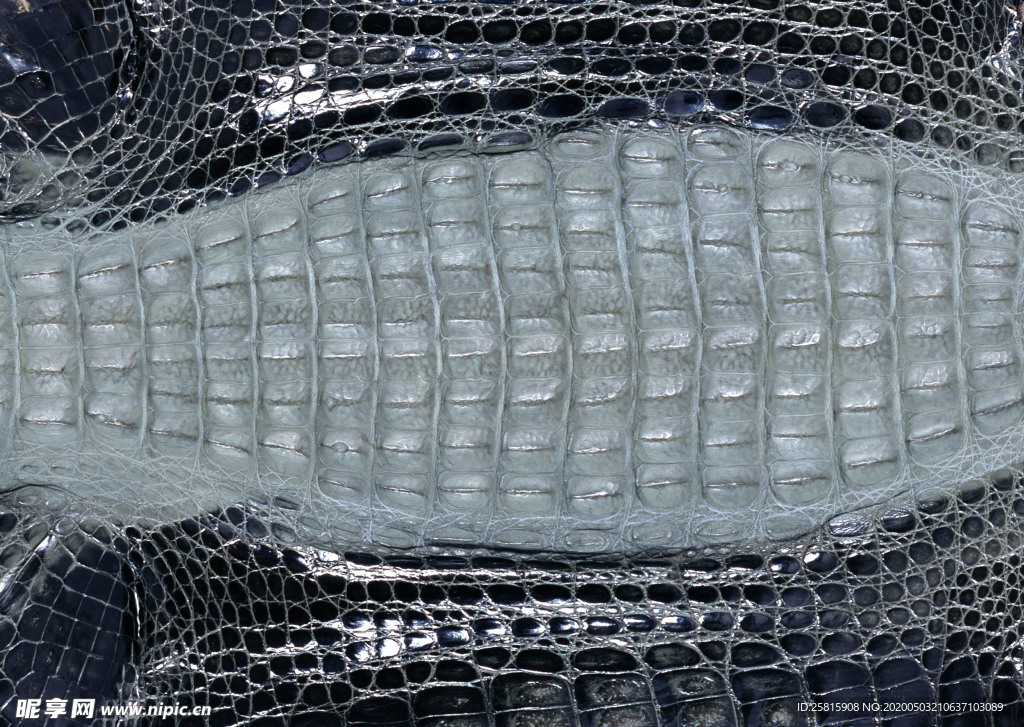 皮革纹理素材图片