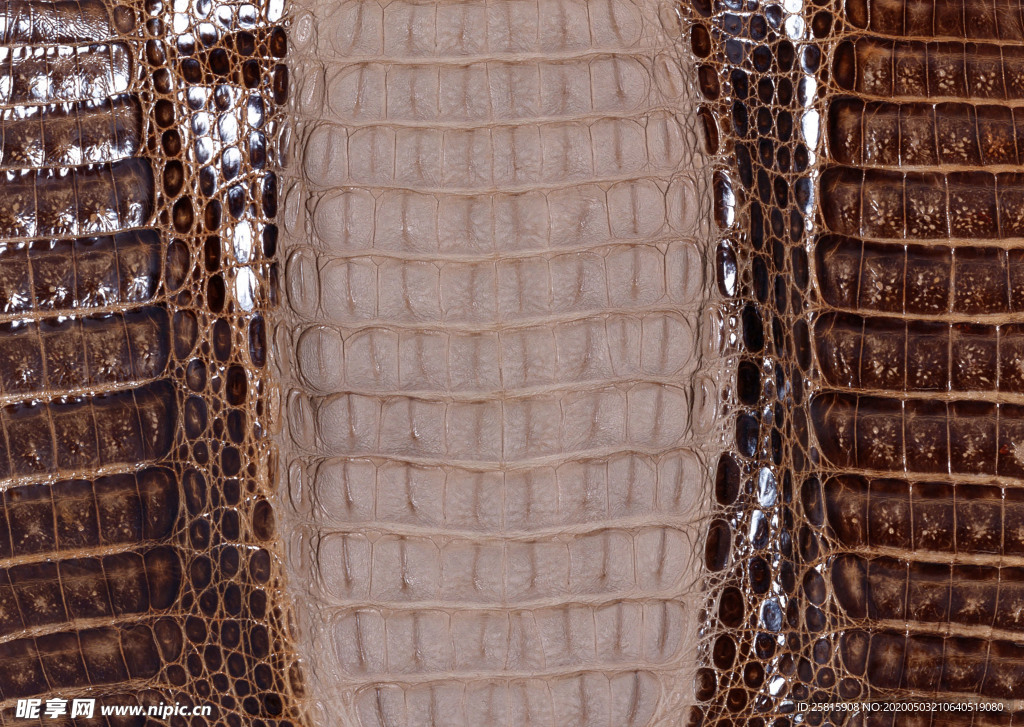 皮革纹理素材图片