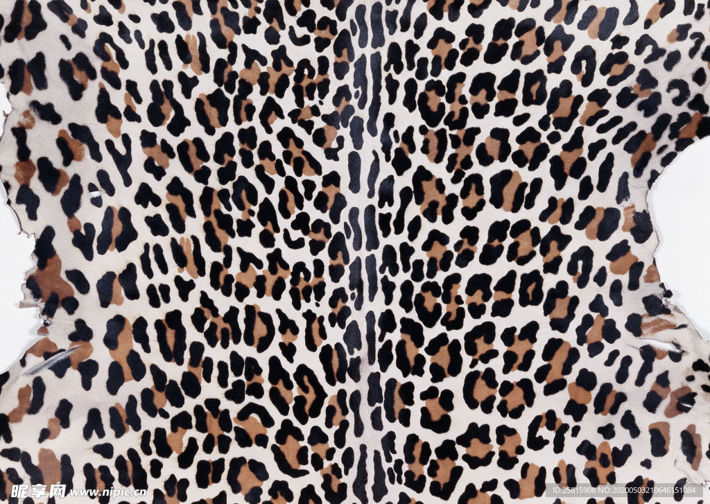 皮革纹理素材图片