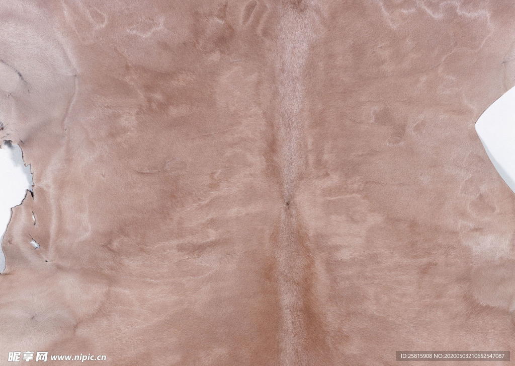 皮革纹理素材图片