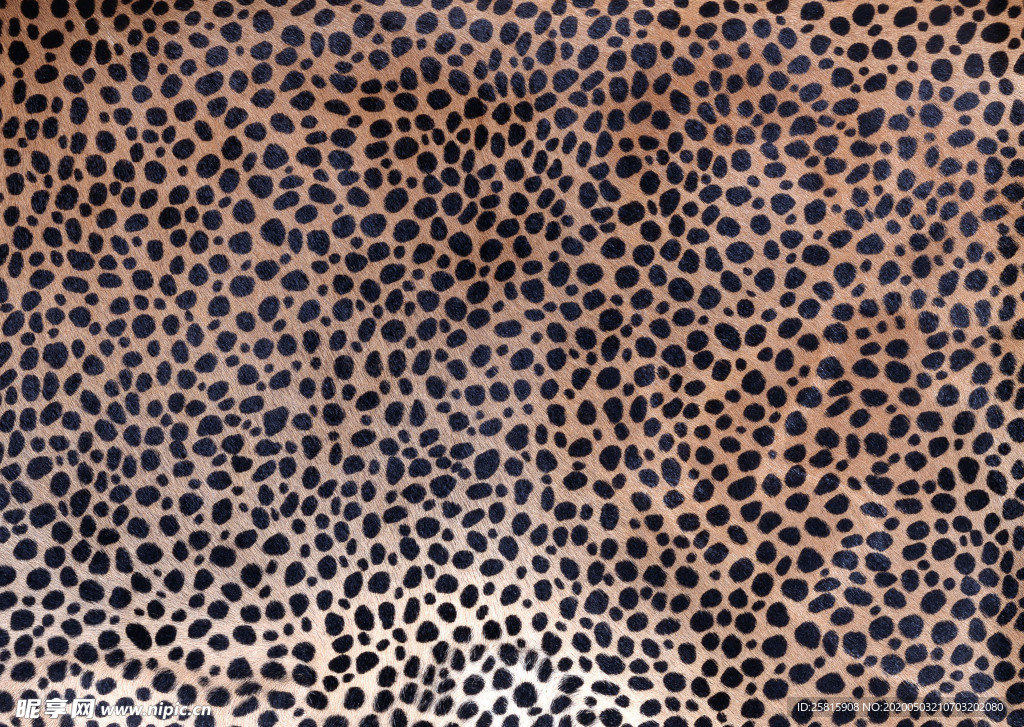 皮革纹理素材图片