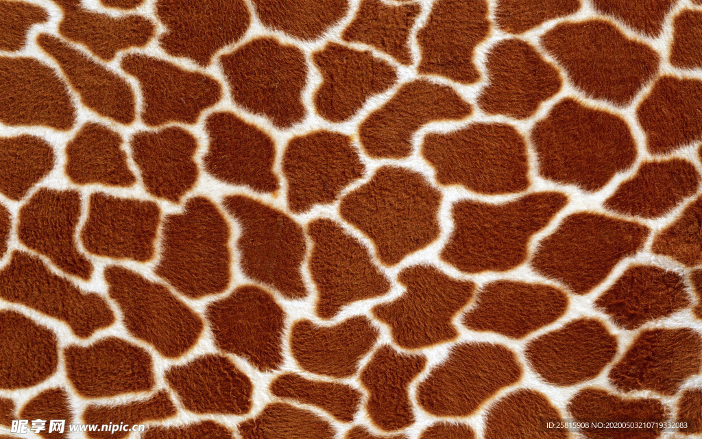 皮革纹理素材图片