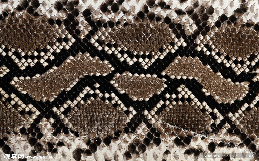 皮革纹理素材图片