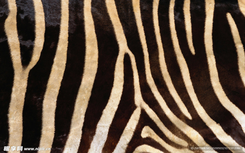 皮革纹理素材图片