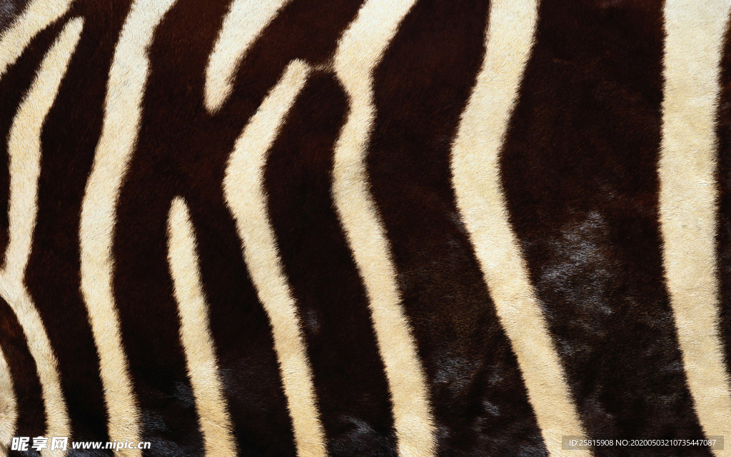 皮革纹理素材图片