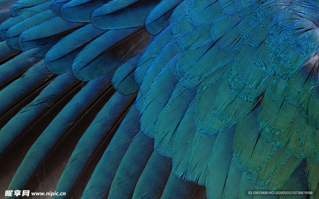 皮革纹理素材图片