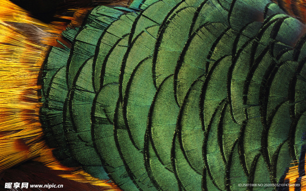 皮革纹理素材图片