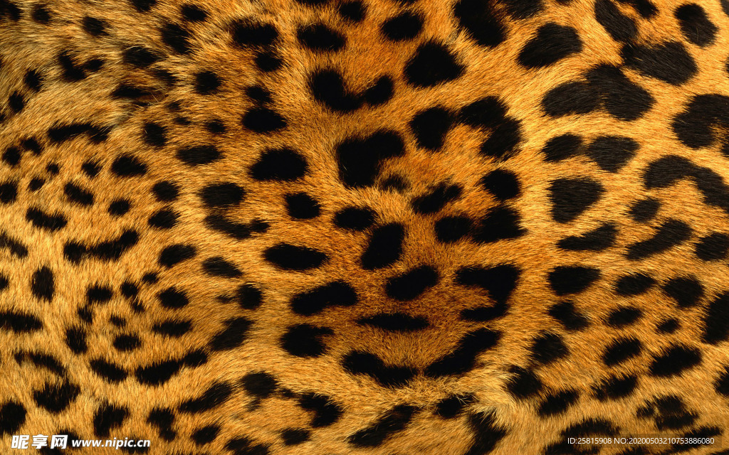 皮革纹理素材图片