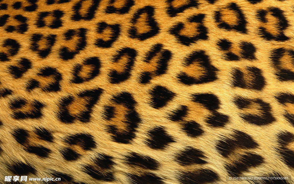 皮革纹理素材图片