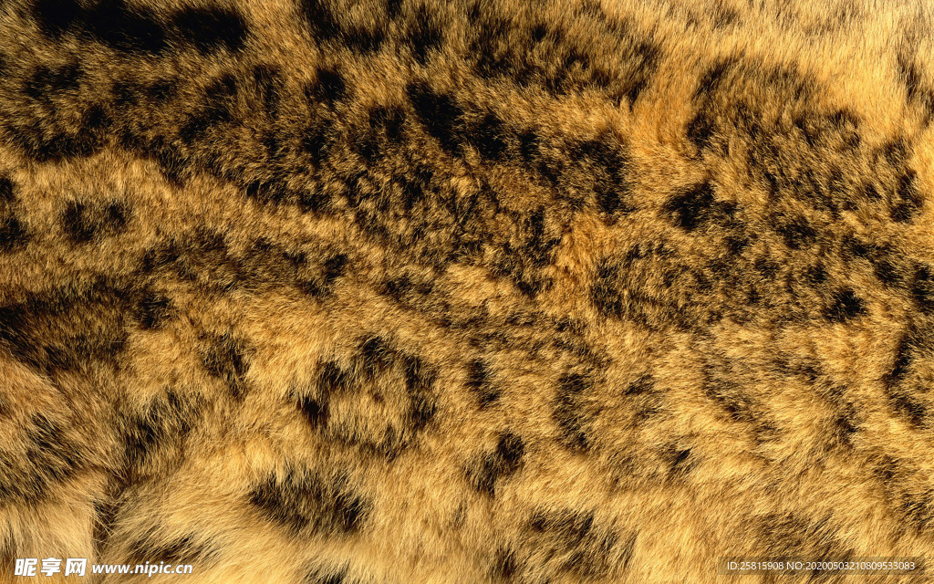 皮革纹理素材图片