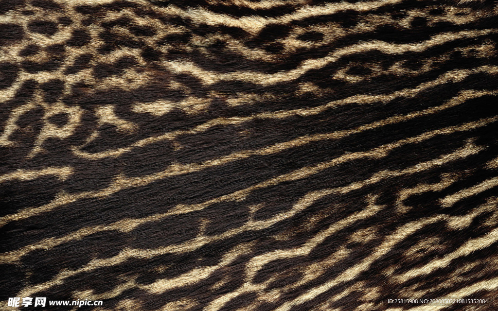 皮革纹理素材图片