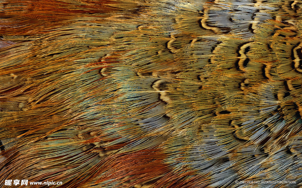 皮革纹理素材图片