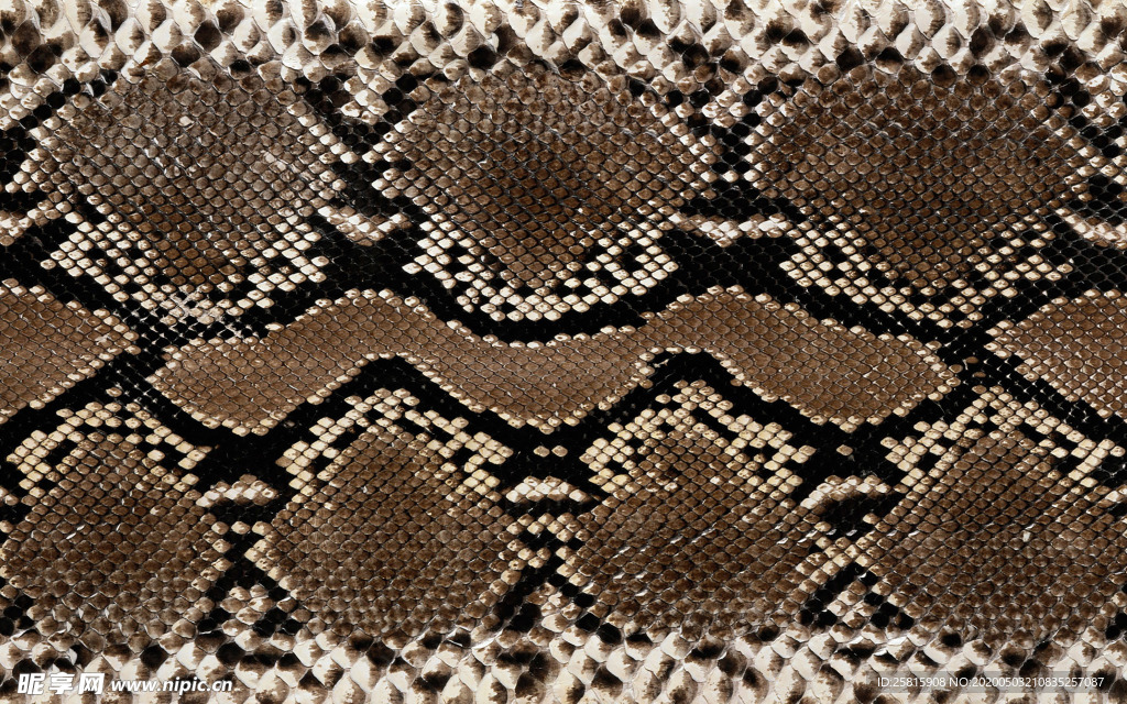 皮革纹理素材图片