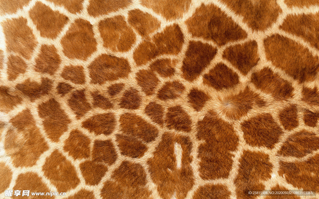 皮革纹理素材图片