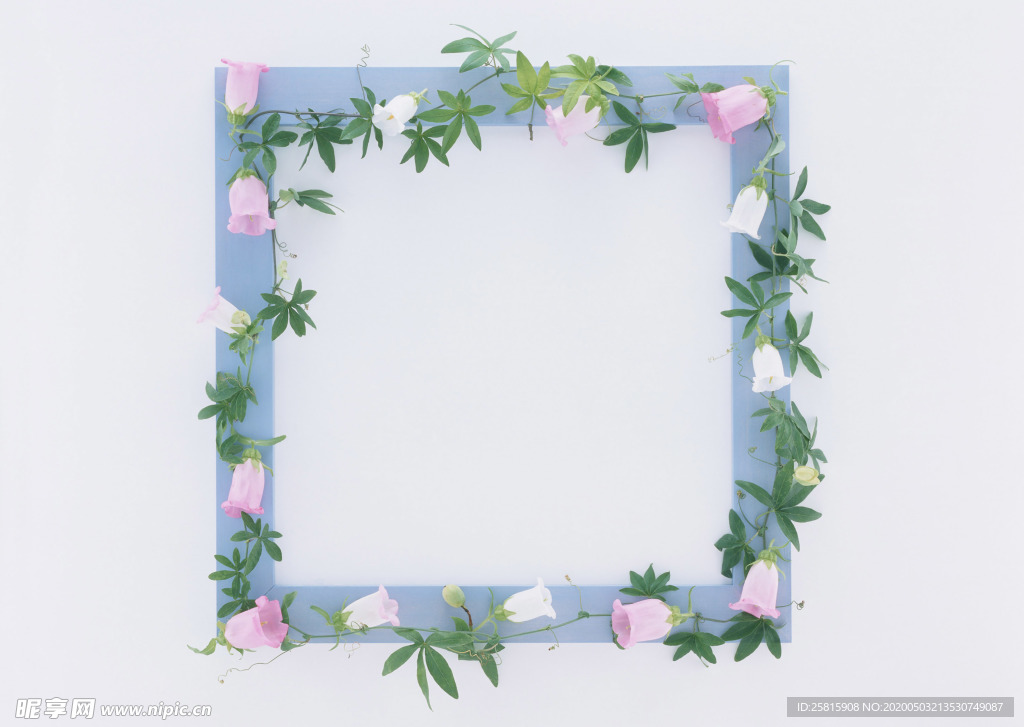 花朵相框图片
