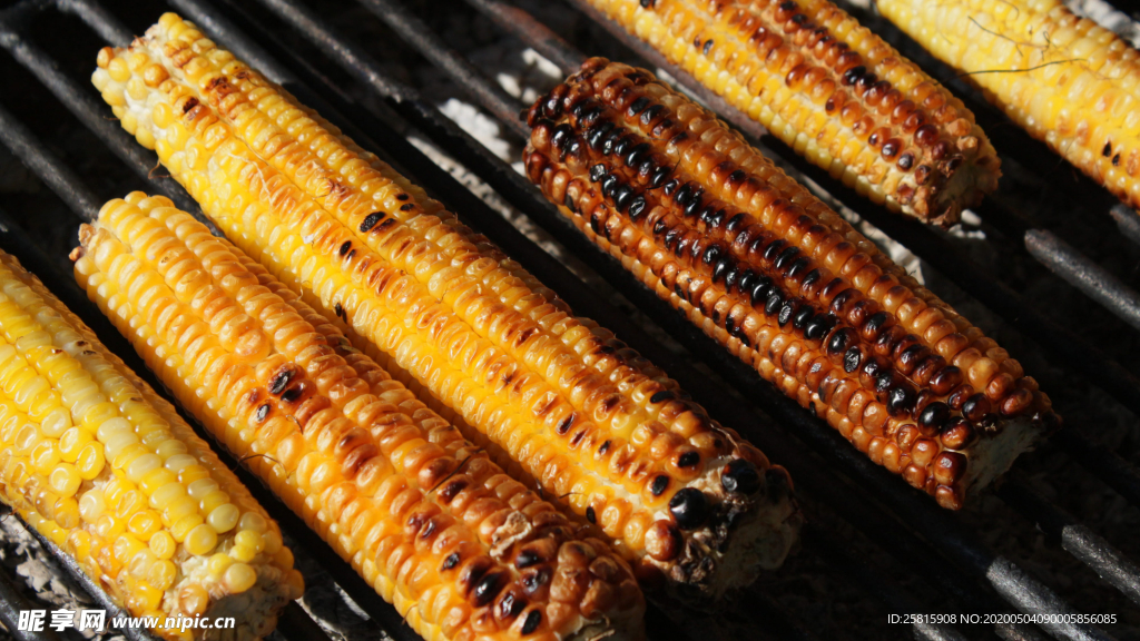 玉米五谷杂粮图片