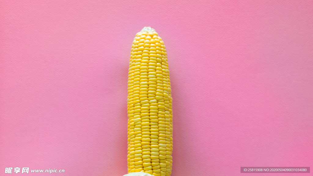 玉米五谷杂粮图片