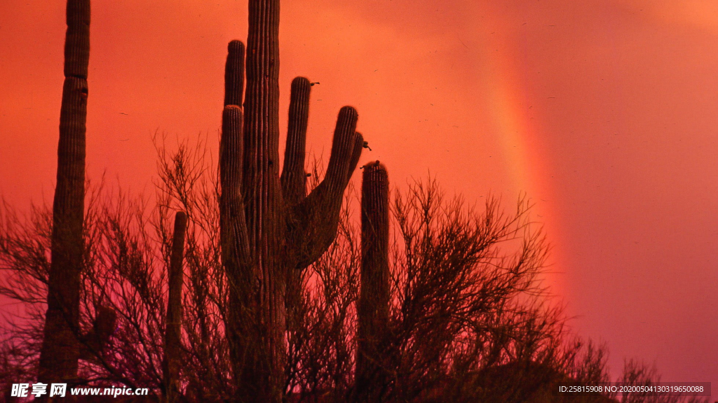 唯美晚霞日落图片