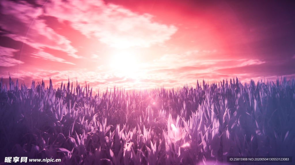 唯美晚霞日落图片