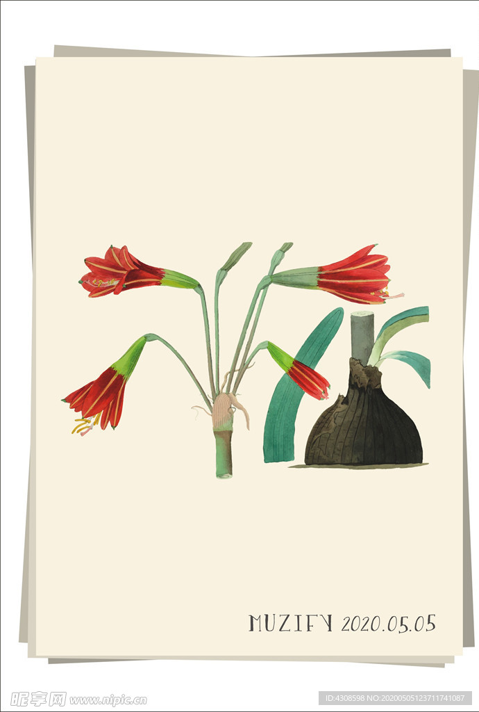 哈勃兰 植物图鉴