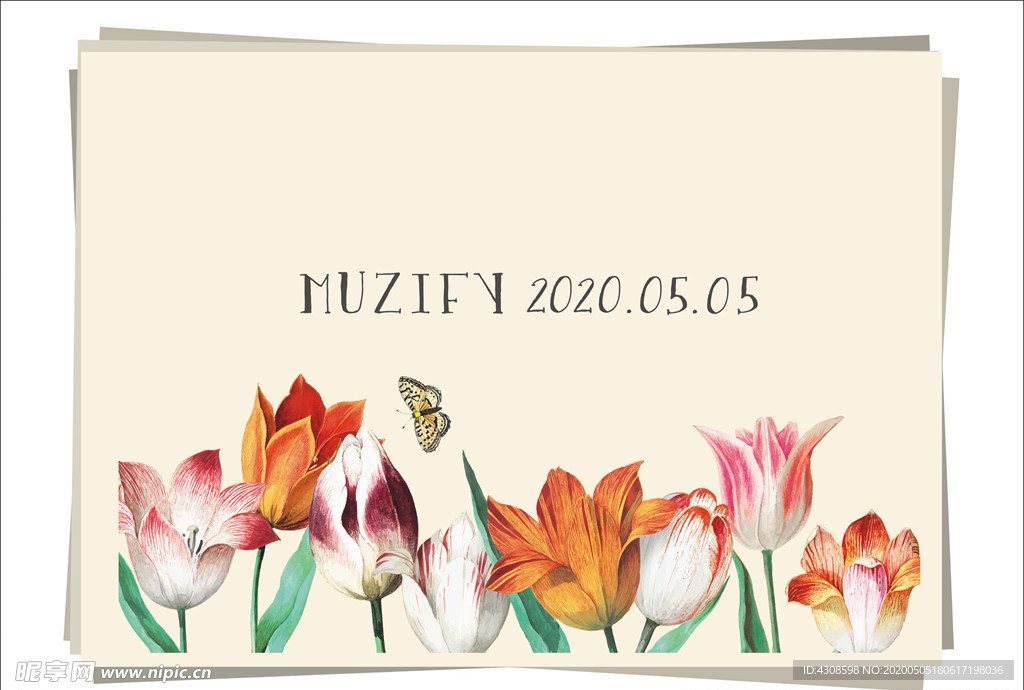 郁金香 花边底纹