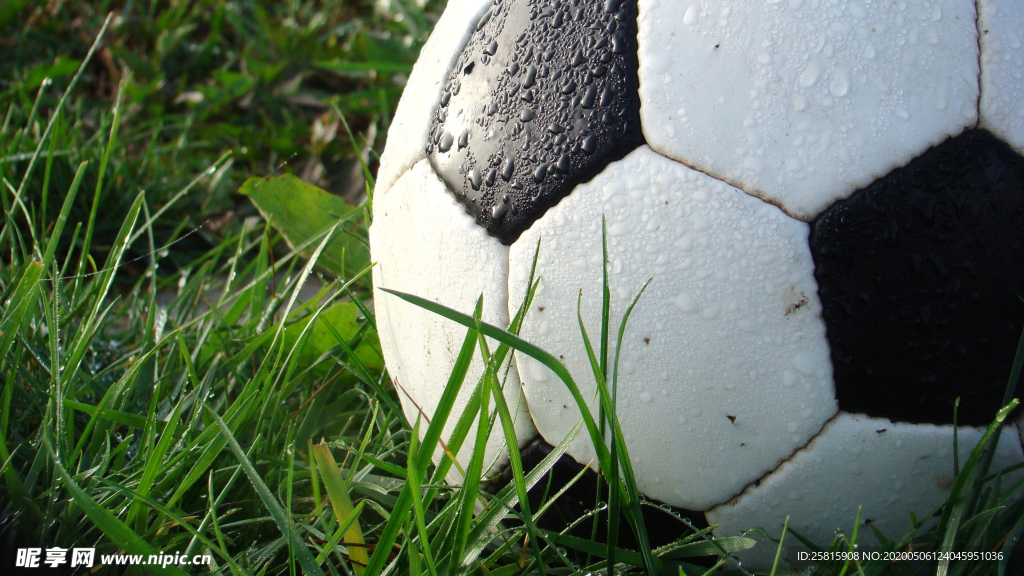 草坪足球特写图片