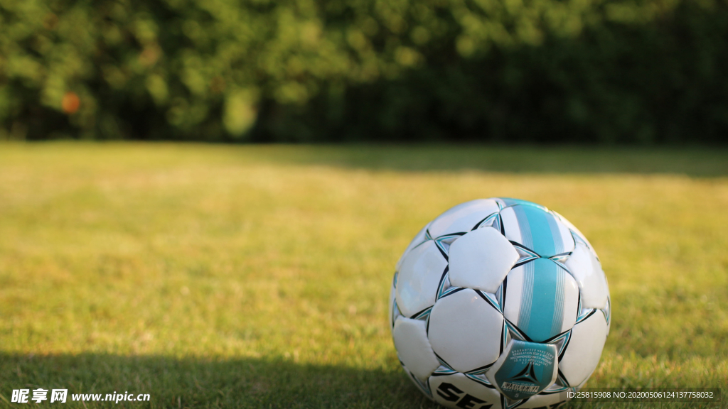 草坪足球特写图片