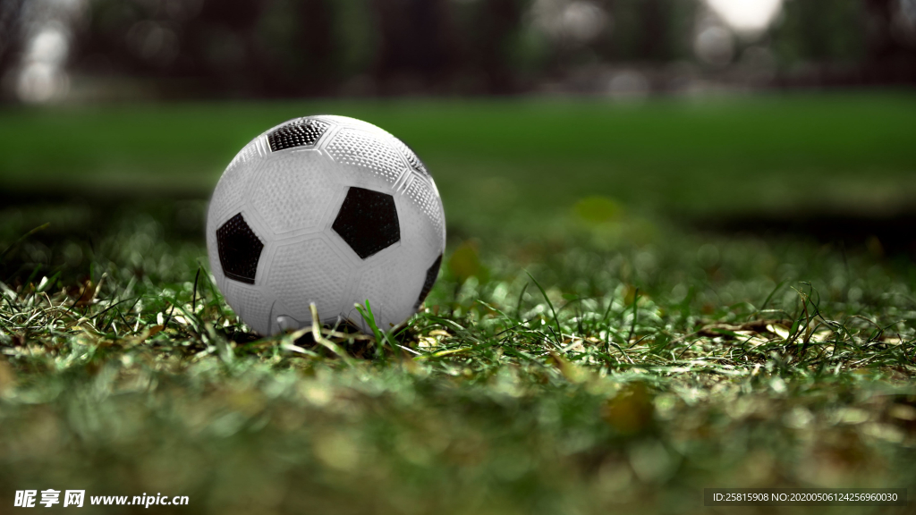 草坪足球特写图片