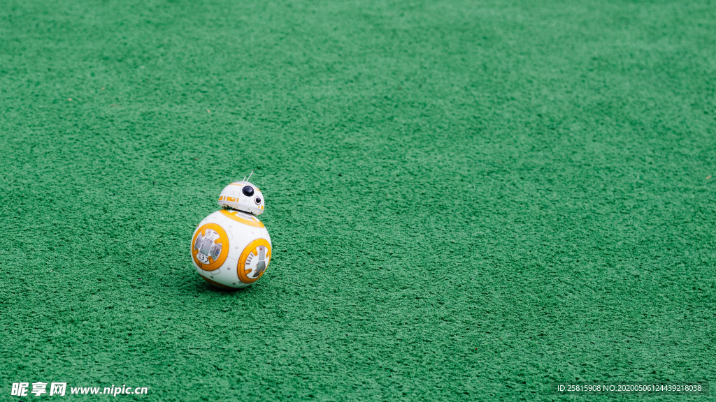 草坪足球特写图片