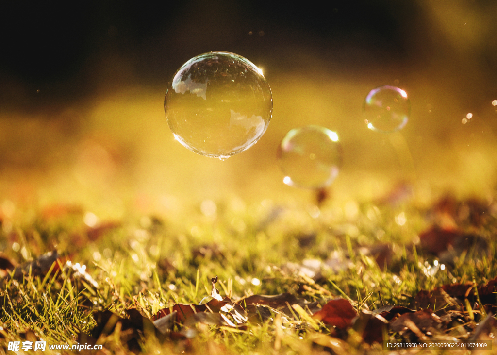 午后泡泡绚丽图片